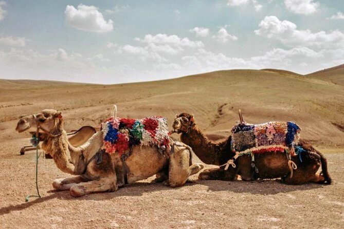 3 Days: Private Desert Tour from Marrakech to Merzouga via Atlas & Camel Trek - Analyzing the Value