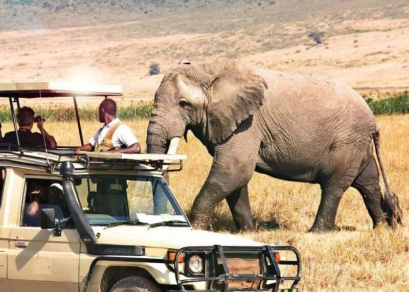 3 Days Private Midrange Safari from Nairobi - Key Points