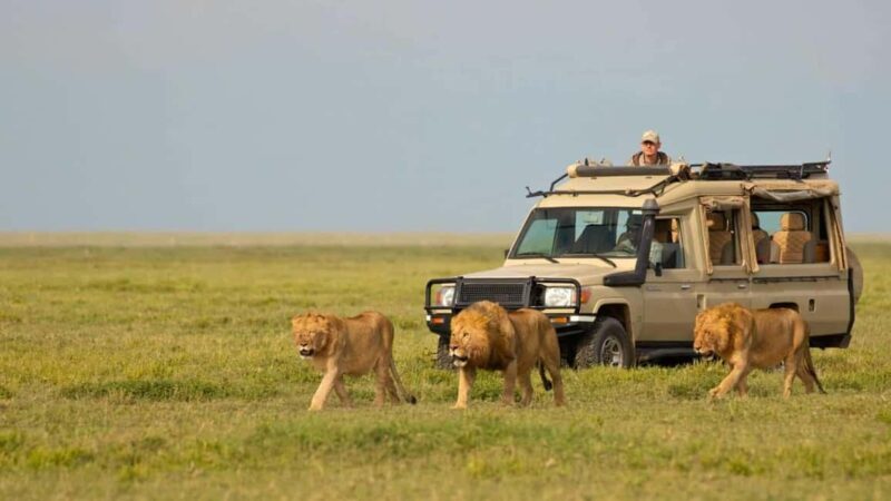 3 Days Private Midrange Safari from Nairobi - FAQ