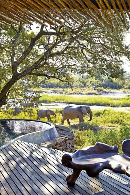 3 Days Private Midrange Safari from Zanzibar with Flights - An Honest Look at the 3-Day Private Midrange Safari from Zanzibar with Flights