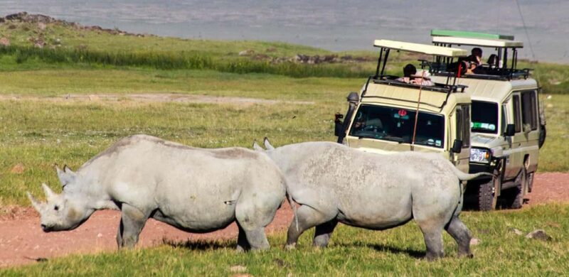 3 Days Private Midrange Safari from Zanzibar with Flights - Key Points