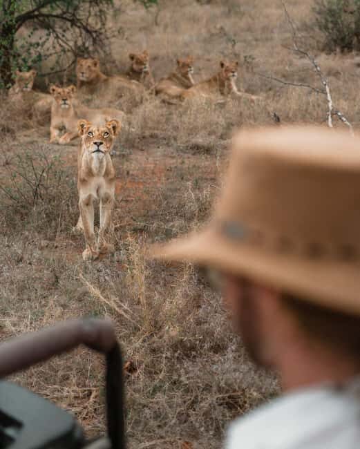 3 Days Private Midrange Safari from Zanzibar with Flights - First Stop: Tarangire National Park