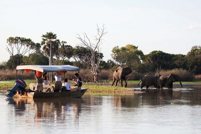 3-Days Private Nyerere NP Game Drive and Boat safari tour - Key Points
