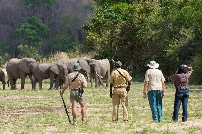 3-Days Private Nyerere NP Game Drive and Boat safari tour - Exploring the Itinerary in Detail