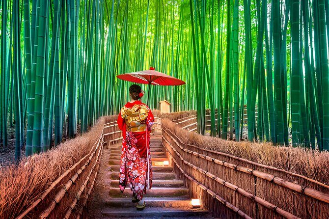 3 Days Private Osaka Kyoto and Nara Tour With English Driver - Key Points