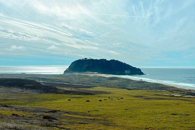 3 Days Private Pacific Tour to Big Sur Hearst Castle and more - Transportation and Comfort