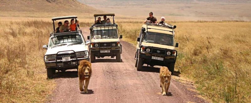 3 Days Private Safari To Tarangire and Ngorongoro Crater - The Detailed Experience: What You Can Expect