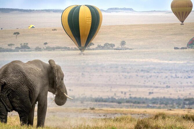 3 Days Private Tour in Maasai Mara With 4*4 Vehicle - The Itinerary in Detail
