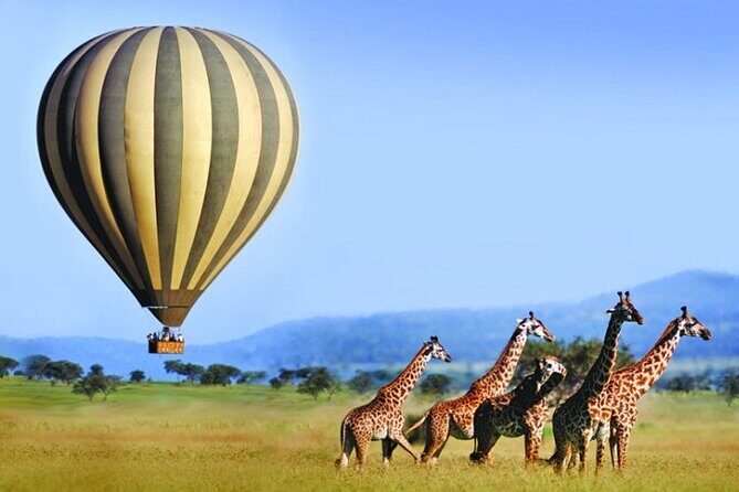 3 Days Private Tour in Maasai Mara With 4*4 Vehicle - FAQs