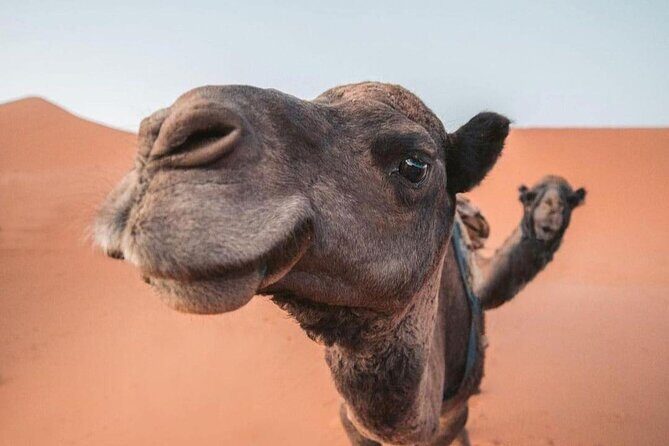 3 Days Private Tour to Merzouga from Marrakech - Why This Tour Offers Great Value