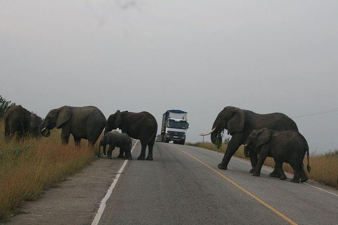 3 days Queen Elizabeth National Park Uganda Safari - The Authentic Experiences You’ll Cherish