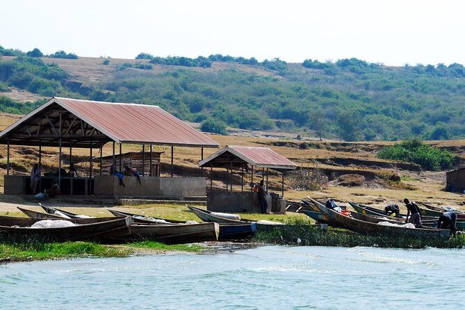3 days Queen Elizabeth National Park Uganda Safari - The Sum Up: Is This Tour Right for You?