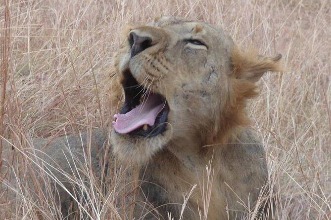 3 days Queen Elizabeth National Park Uganda Safari - FAQ