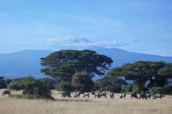 3 days Red elephant safari - What Travelers Say