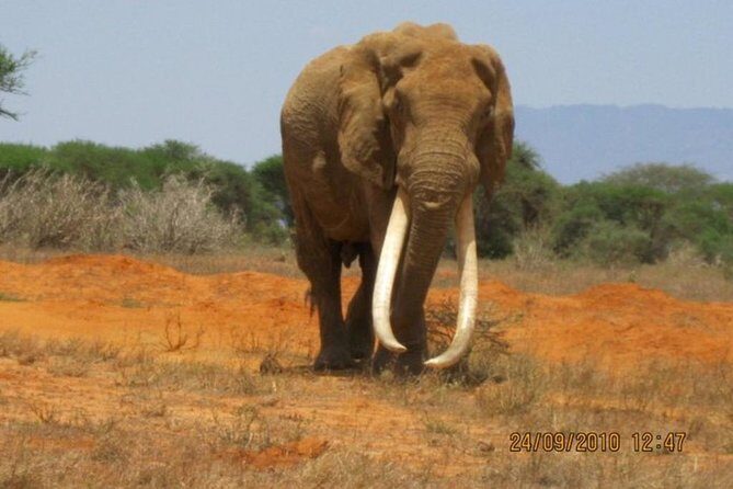 3 days Red elephant safari - Who Is This Tour Best For?