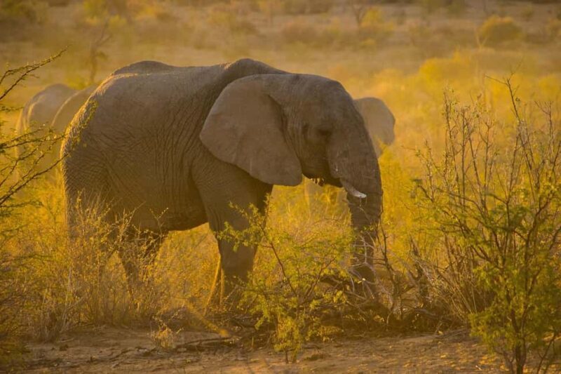3-Days safari adventure to Mikumi N. Park from Dar-es-Salaam - Key Points