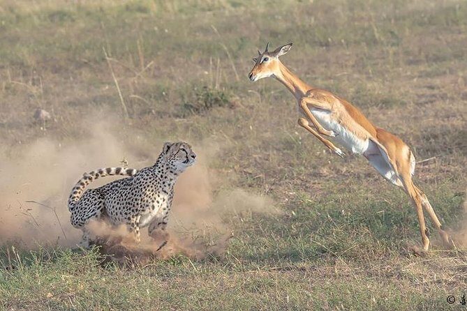 3 Days Safari in Amboseli National Park - Introduction