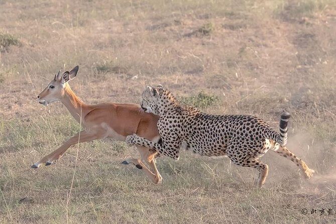 3 Days Safari in Amboseli National Park - Key Points