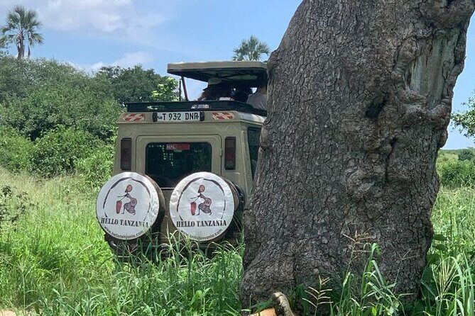 3 days safari in North- Ngorongoro, Tarangire, Mt. Oldeani - Who Will Love This Safari?