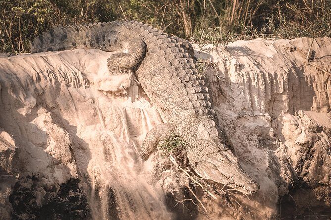 3 Days Safari - Mikumi National Park - Who Will Love This Tour?