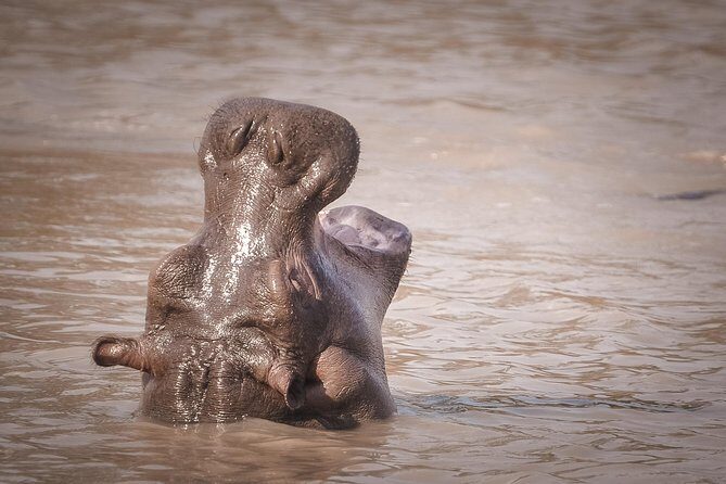 3 Days Safari - Mikumi National Park - FAQ