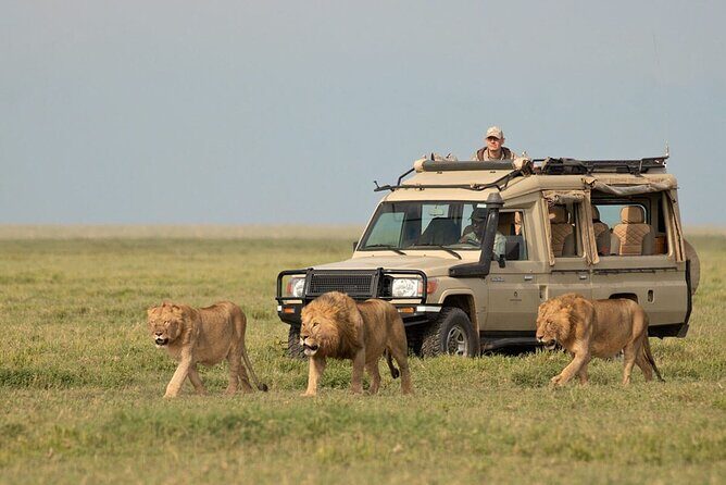 3 Days Safari Ngorongoro Crater and Serengeti National Park - What’s Included and What’s Not