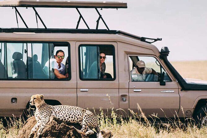 3 Days Safari Ngorongoro Crater and Serengeti National Park - Value and Price: Is It Worth It?