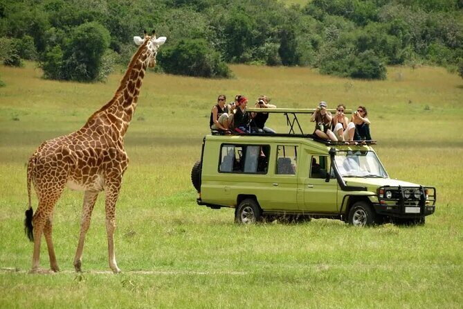 3 Days Safari Ngorongoro Crater and Serengeti National Park - Authenticity and Comfort
