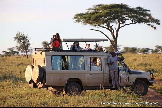 3 Days Safari Ngorongoro Crater and Serengeti National Park - Who Should Consider This Tour?