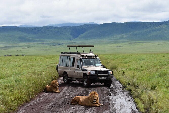 3 Days Safari Ngorongoro Crater and Serengeti National Park - FAQs