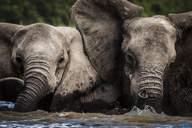 3 Days Safari - Selous Game Reserve - An In-Depth Look at the Itinerary and What It Means for Travelers