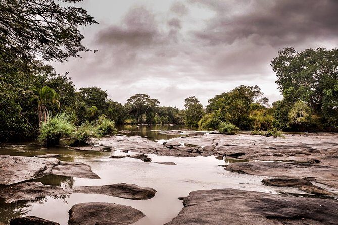 3 Days Safari - Selous Game Reserve - Authenticity and Reviewer Insights
