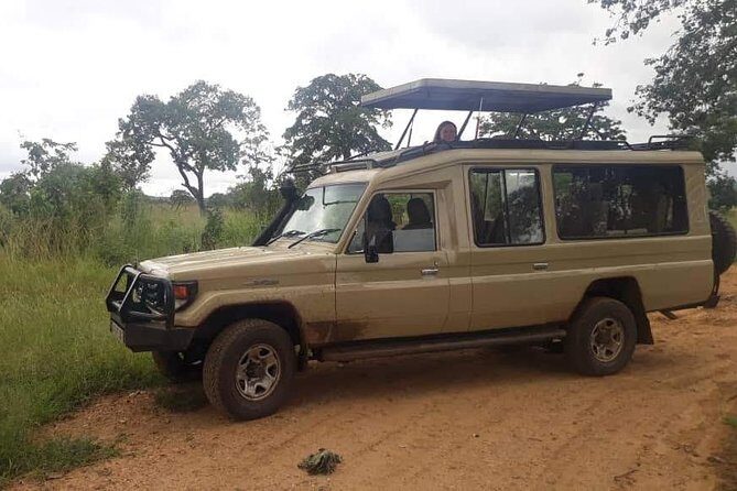 3 Days Safari - Selous Game Reserve - Who Should Consider This Tour?
