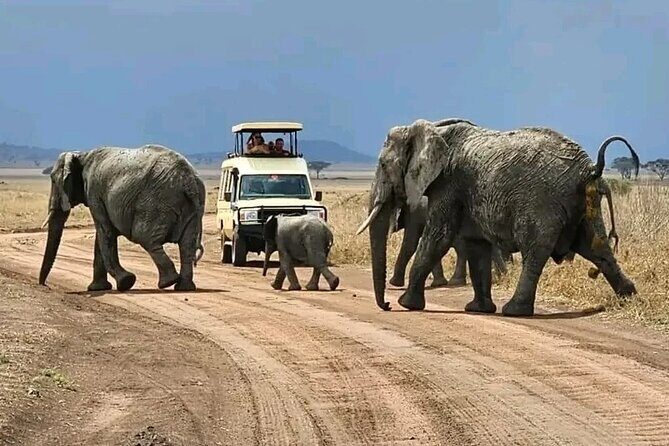3 Days safari to Tarangire, Ngorongoro and Manyara national park - FAQs