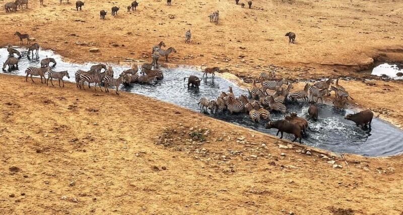 3 DAYS SAFARI TO TSAVO EAST AND WEST NATIONAL PARK - An Introduction to Kenya’s Tsavo Parks