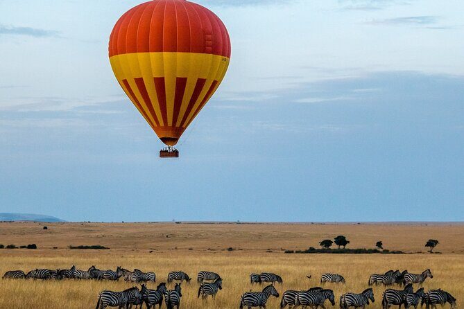 3 Days Safari Tour in Maasai Mara - FAQ