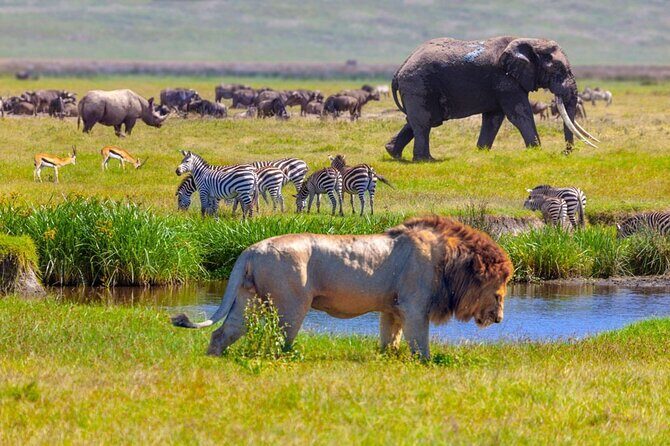 3 Days Safari Tour in Tarangire and Ngorongoro - The Itinerary in Detail