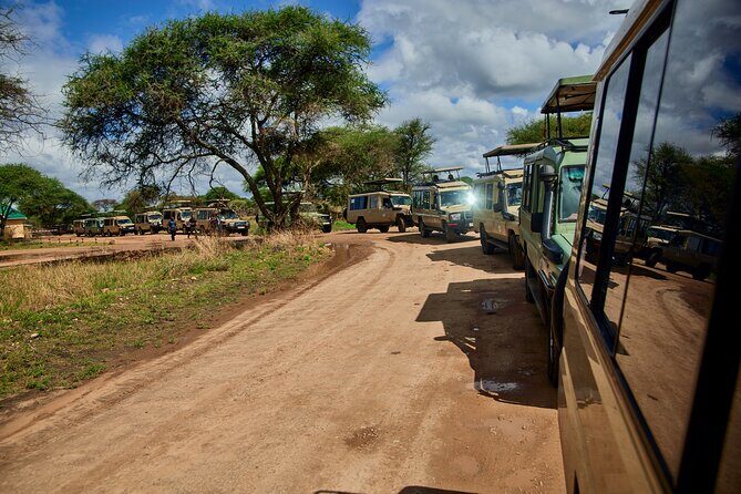 3 Days Safari Tour in Tarangire and Ngorongoro - Who Should Consider This Tour?