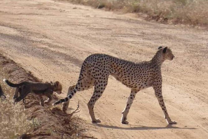 3 Days Safari Tsavo East and Taita Hills Saltlick Lodge - The Itinerary in Detail: What Youll Experience Each Day