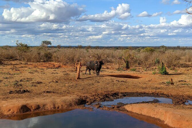 3 Days Safari Tsavo East and Taita Hills Saltlick Lodge - Transportation and Timing: What You Need to Know