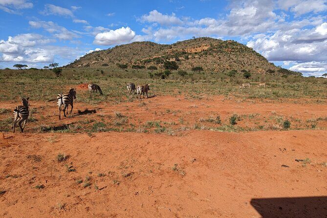 3 Days Safari Tsavo East and Taita Hills Saltlick Lodge - Who Will Enjoy This Safari?