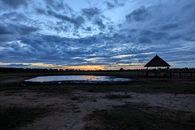 3 Days Safari Tsavo East and Taita Hills Saltlick Lodge - Final Thoughts