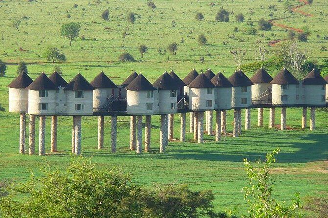 3 days safari Tsavo East and Taita hills (Saltlick lodge) - Exploring a 3-Day Safari in Tsavo East and Taita Hills – An Honest Look