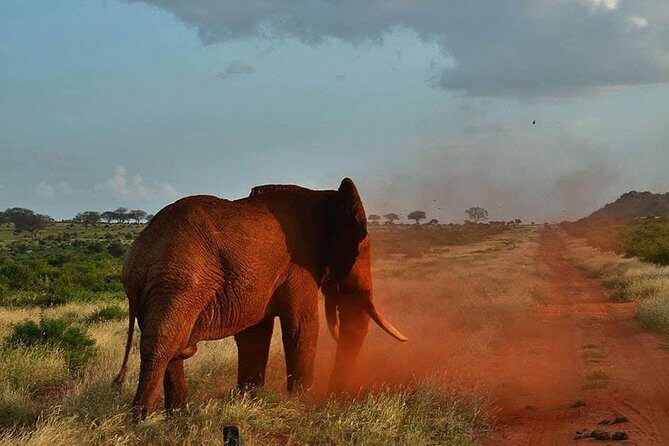 3 days safari Tsavo East and Taita hills (Saltlick lodge) - FAQs