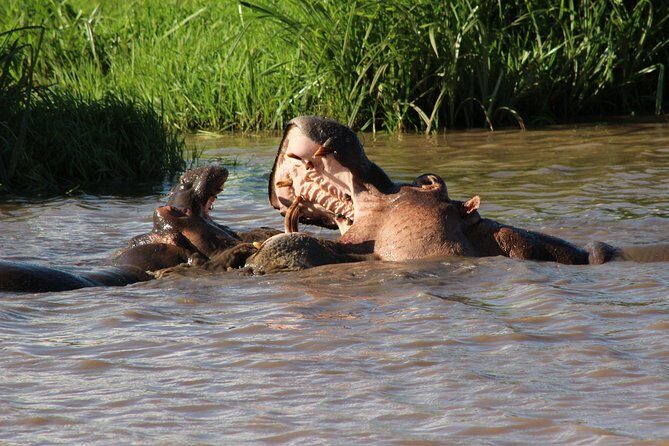 3 days safari Tsavo East and West - The Practicalities: What You Need to Know