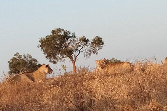 3 days safari Tsavo East and West - The Sum Up