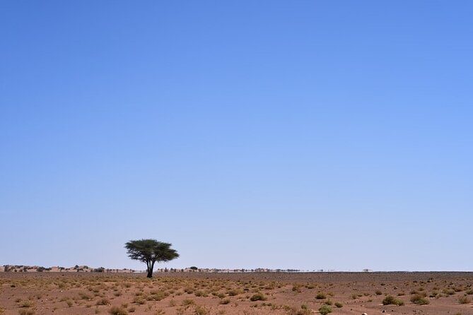 3 Days Sahara Desert Tour from Marrakech to Fes - FAQ