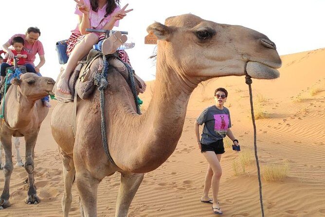 3 Days Sahara tour from Marrakesh - Why Choose the 3-Day Sahara Tour from Marrakech?