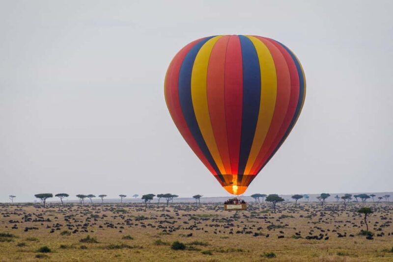 3 Days Samburu Flying Safari Package - Day 3: Return to Nairobi