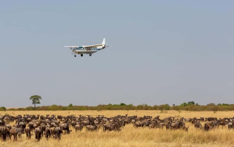 3 Days Samburu Flying Safari Package - Potential Drawbacks and Considerations